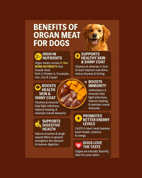 Organ Oryza – Chicken Organs, Rice & Vegetables