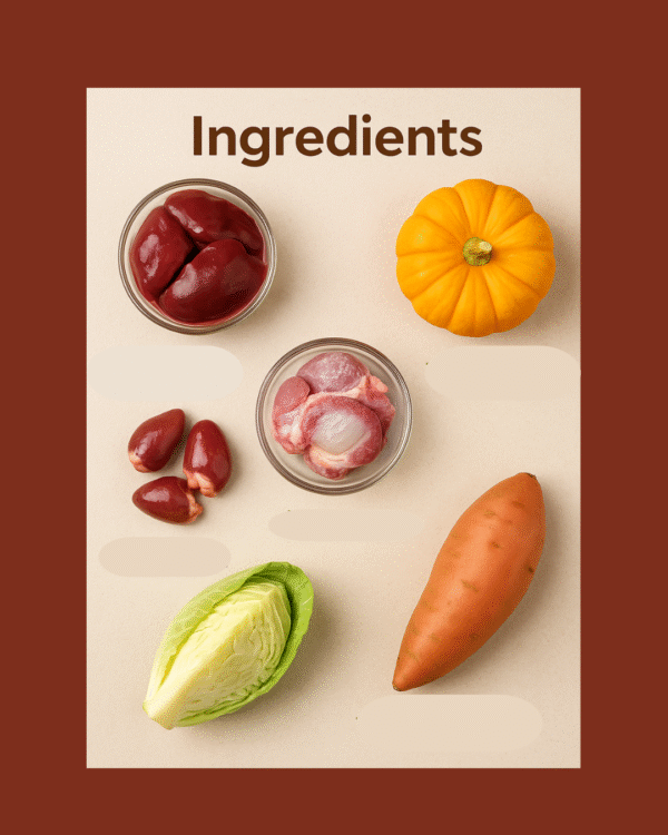 Organ Oryza – Chicken Organs, Rice & Vegetables