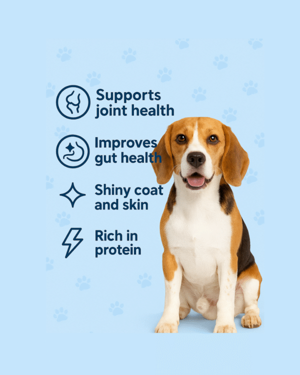 Royalfurr Dog Food Trial Pack-Mix of 4 Recipe