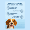 Royalfurr Dog Food Trial Pack-Mix of 4 Recipe