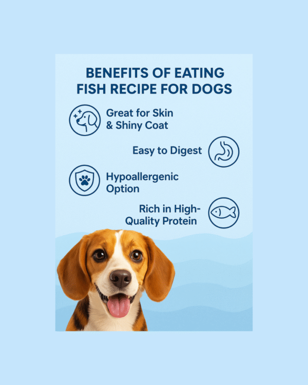 Royalfurr Dog Food Trial Pack-Mix of 4 Recipe